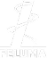 conheca-a-p2p-6.png